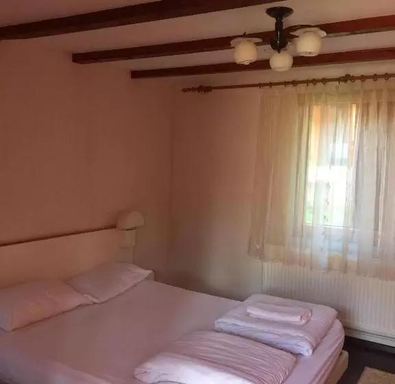 پانسیون Popas Turistic Padis