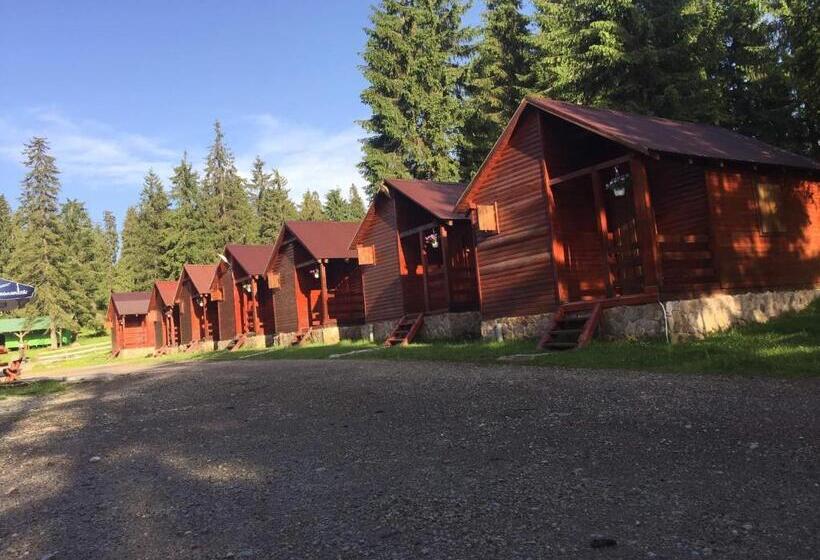 Пансион Popas Turistic Padis