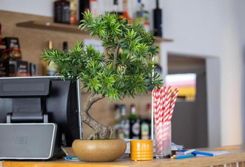 Пансион Popas Turistic Padis