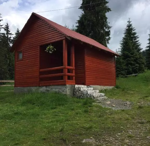 پانسیون Popas Turistic Padis