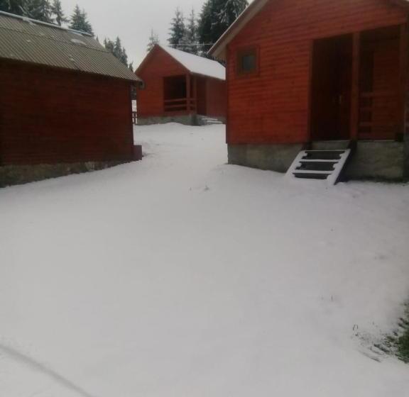 Пансион Popas Turistic Padis