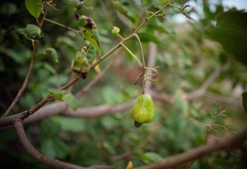 Majatalo Vila Capininga Ecopousada