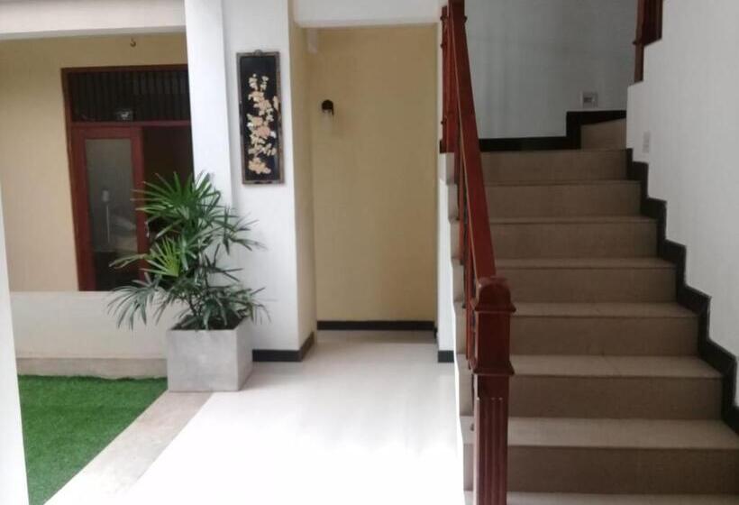 ベッドアンドブレックファースト Avondale Colombo