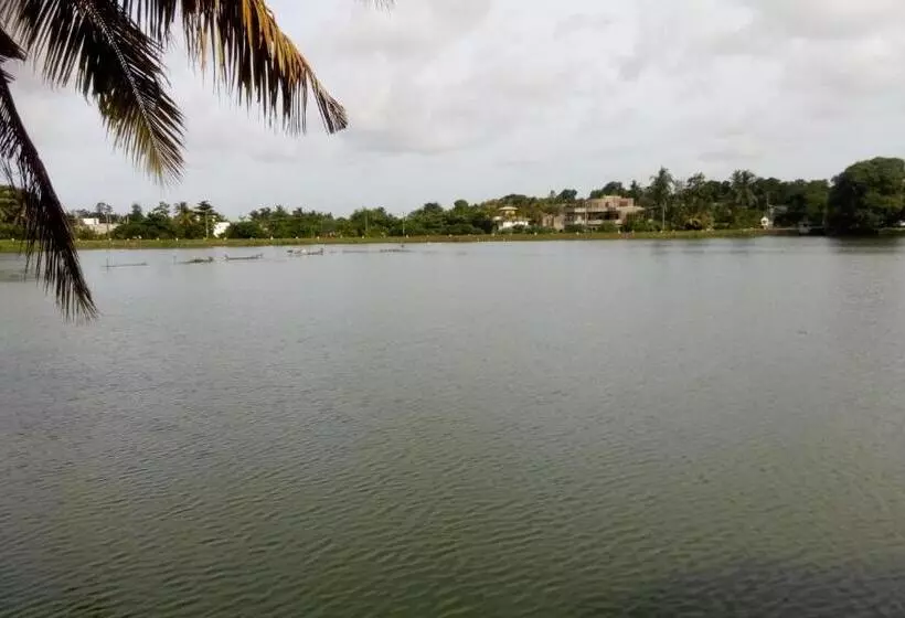 تختخواب و صبحانه Avondale Colombo