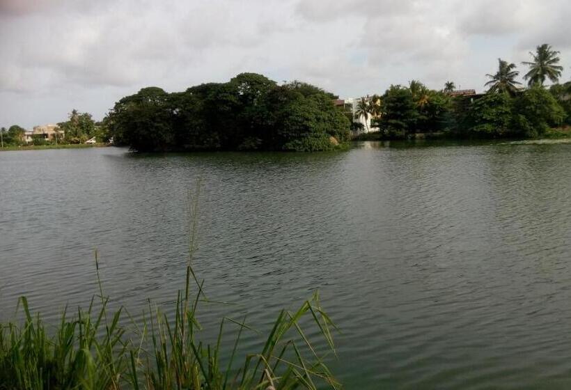 ベッドアンドブレックファースト Avondale Colombo