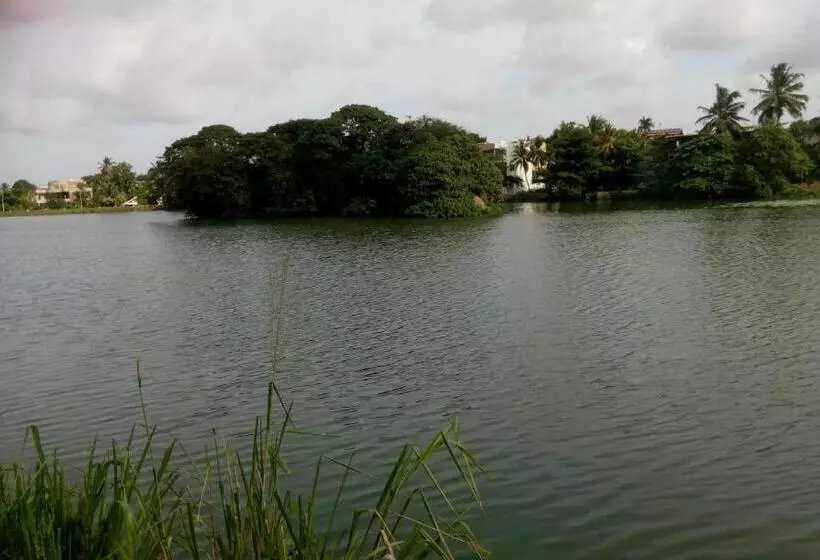 تختخواب و صبحانه Avondale Colombo