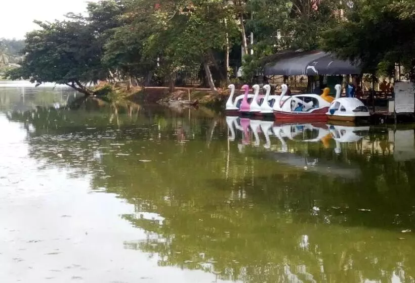 تختخواب و صبحانه Avondale Colombo