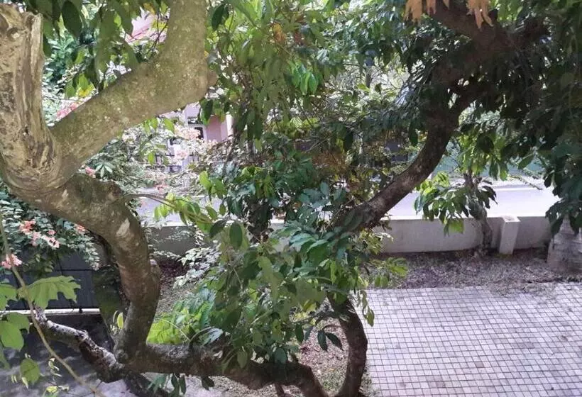 تختخواب و صبحانه Avondale Colombo