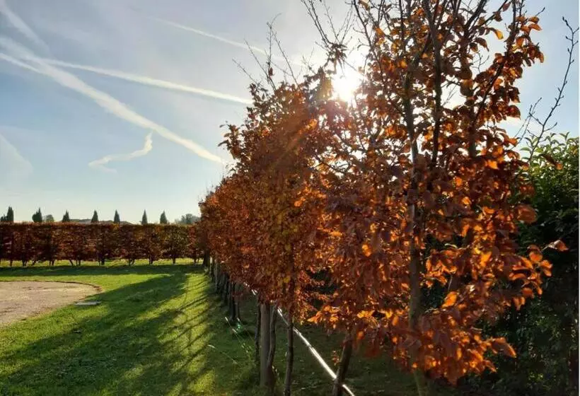 ベッドアンドブレックファースト Country House Campofiore