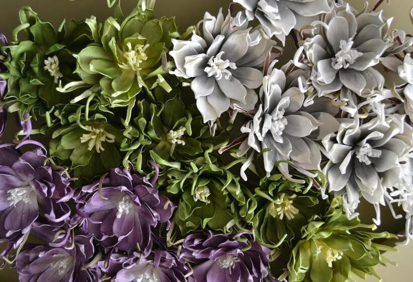 Отель Isla Verde