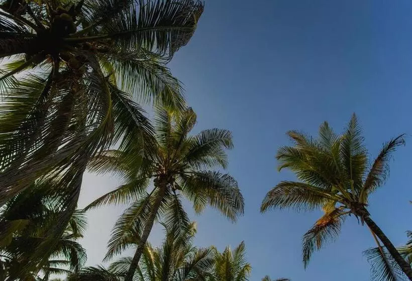 Hotelli Santa María De Los Vientos