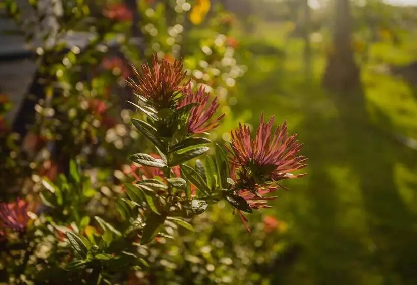 Hotelli Santa María De Los Vientos