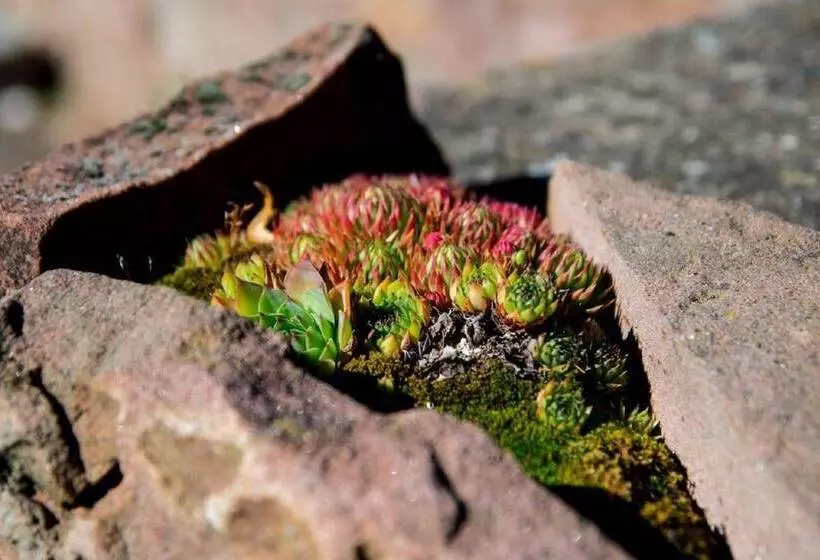 Hotelli Villa Croatia & Restaurant Adria