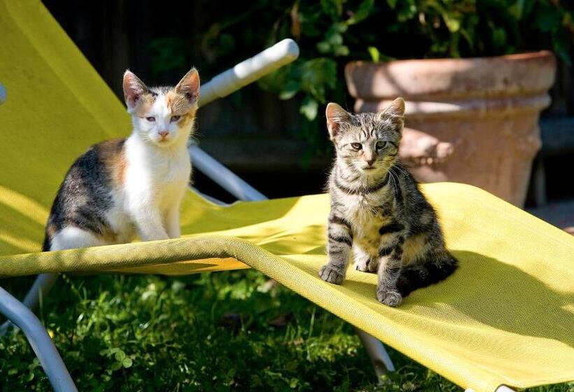 酒店 Winzerhof Strablegg