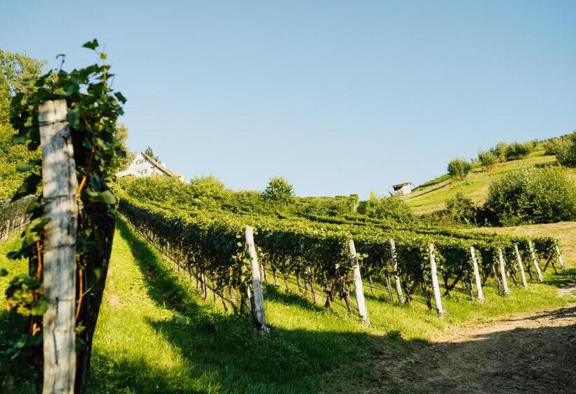 酒店 Winzerhof Strablegg