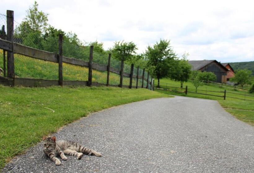 酒店 Winzerhof Strablegg