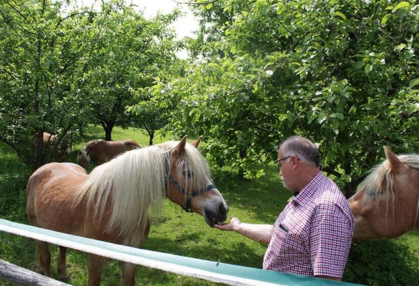 酒店 Winzerhof Strablegg