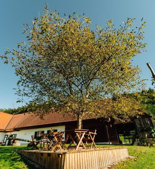 酒店 Winzerhof Strablegg