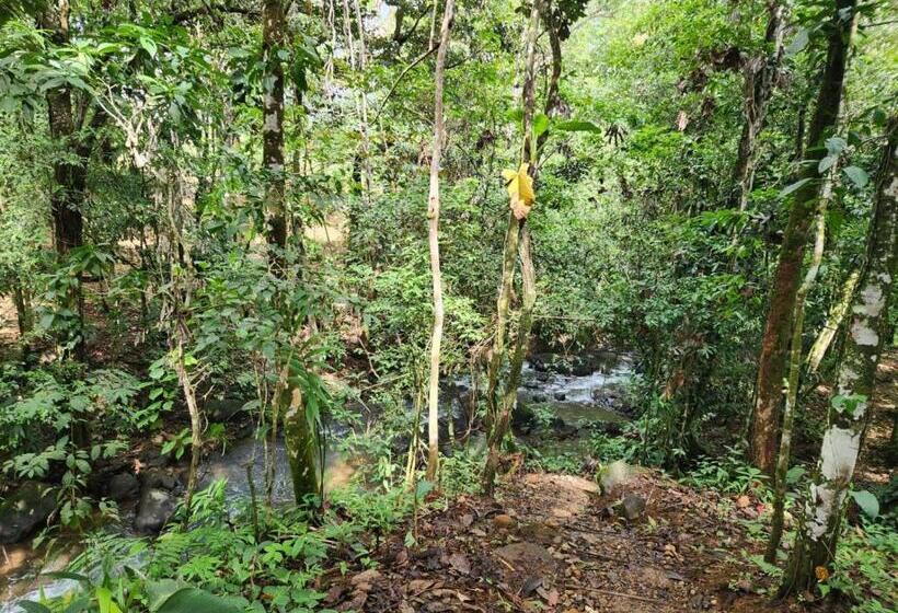 La Piña, Rio Celeste