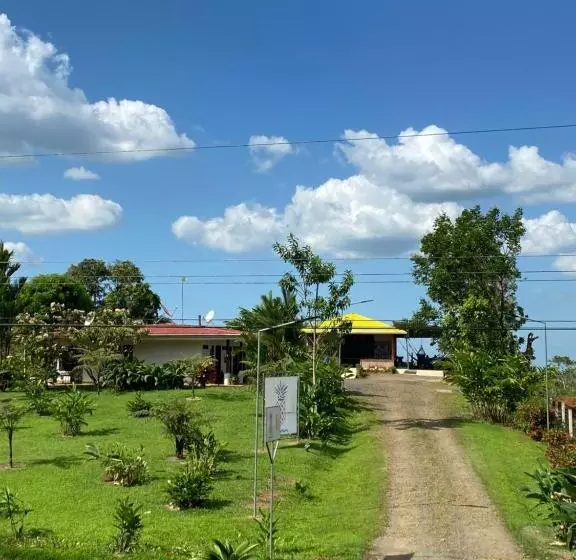 La Piña, Rio Celeste