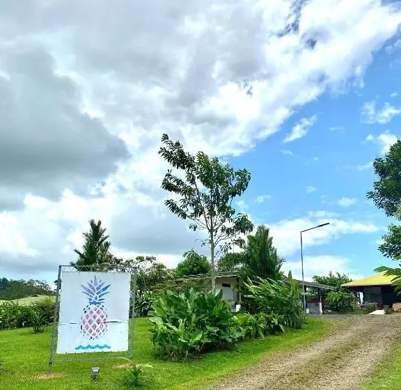 La Piña, Rio Celeste