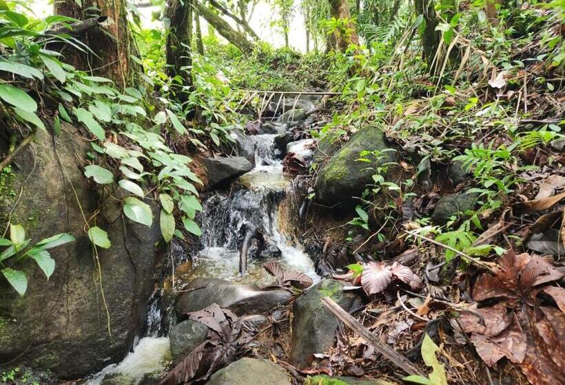 La Piña, Rio Celeste