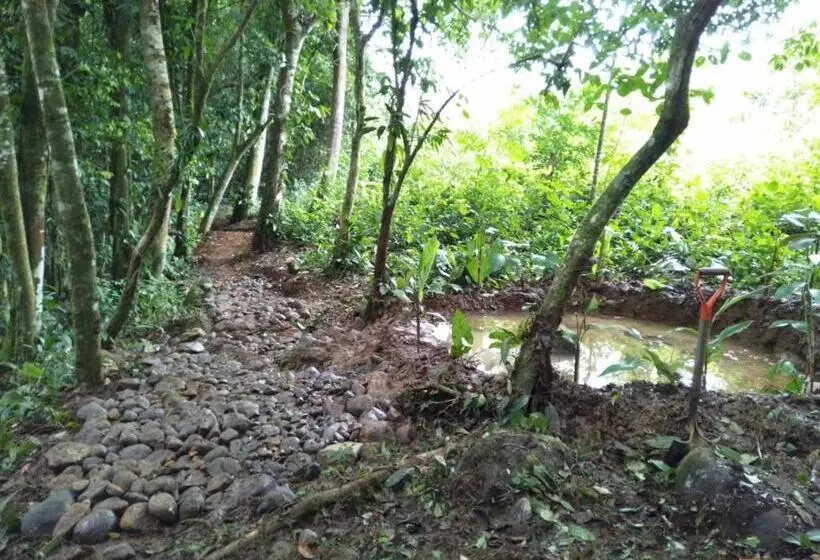 La Piña, Rio Celeste