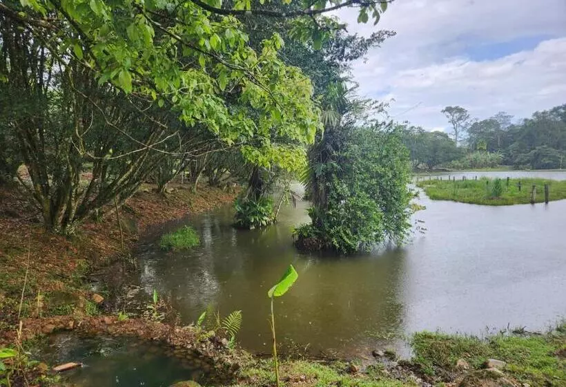 La Piña, Rio Celeste