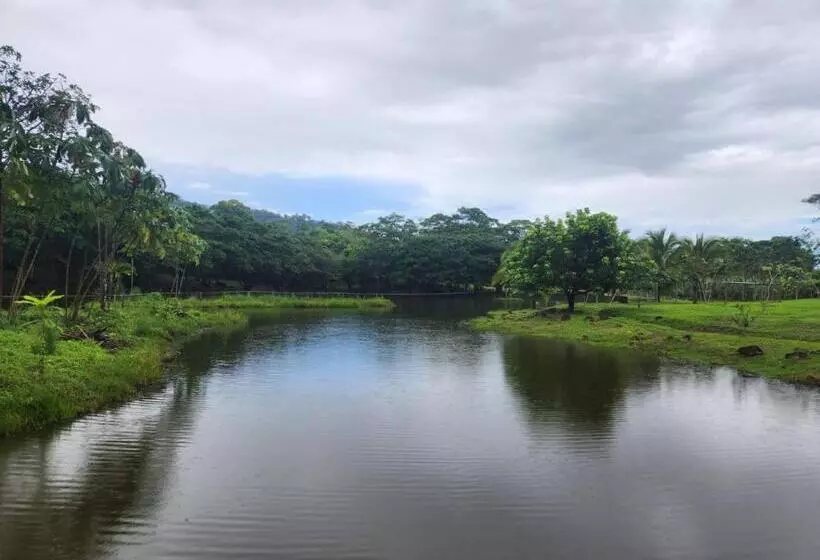 La Piña, Rio Celeste