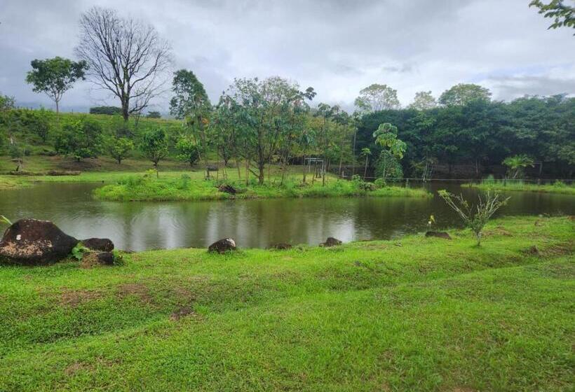 La Piña, Rio Celeste