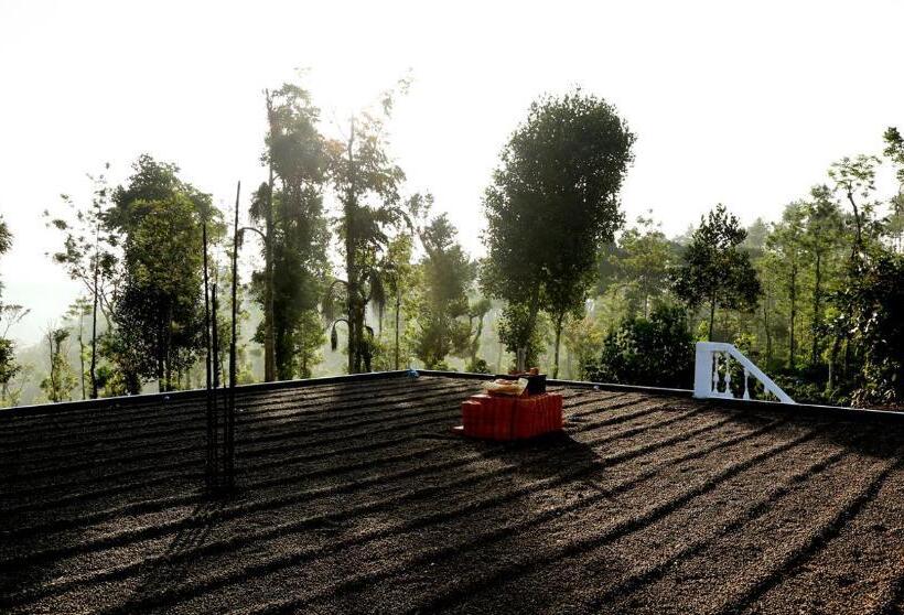 ペンション Coffee Native - A Family Homestay