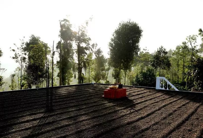 ペンション Coffee Native - A Family Homestay