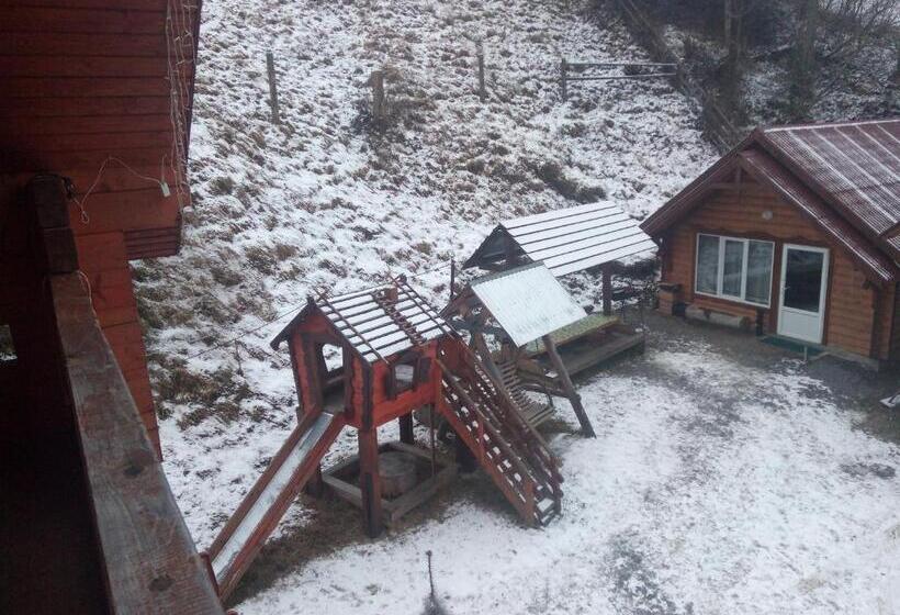 بنسيون Edelveys