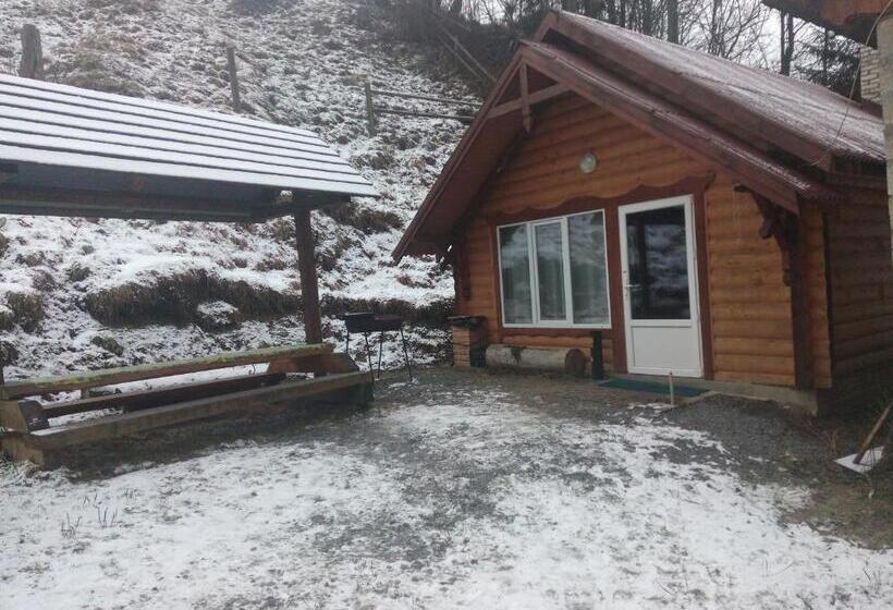 بنسيون Edelveys