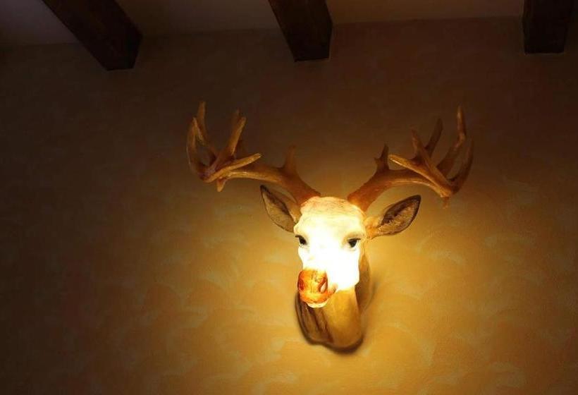 بنسيون Hanul Tentea