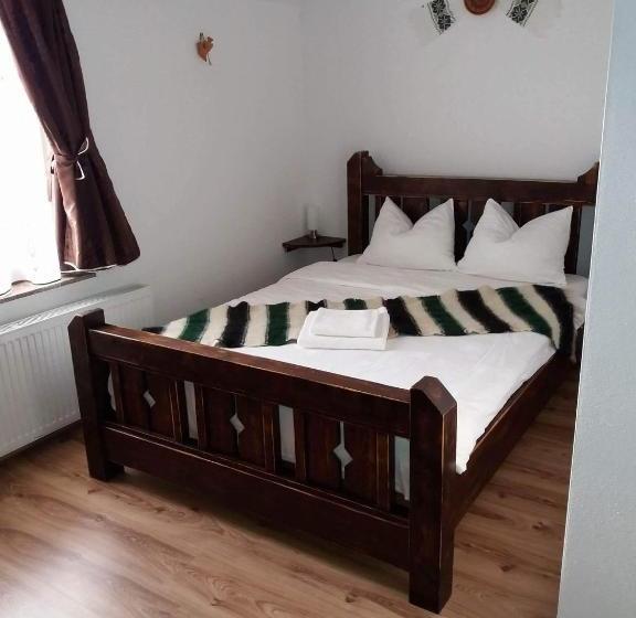 بنسيون Hanul Tentea