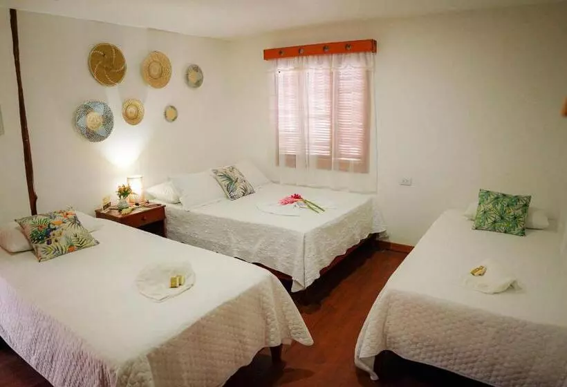 Retkeilymaja Ecohotel Yachay Tayrona Dentro Del Parque Tayrona