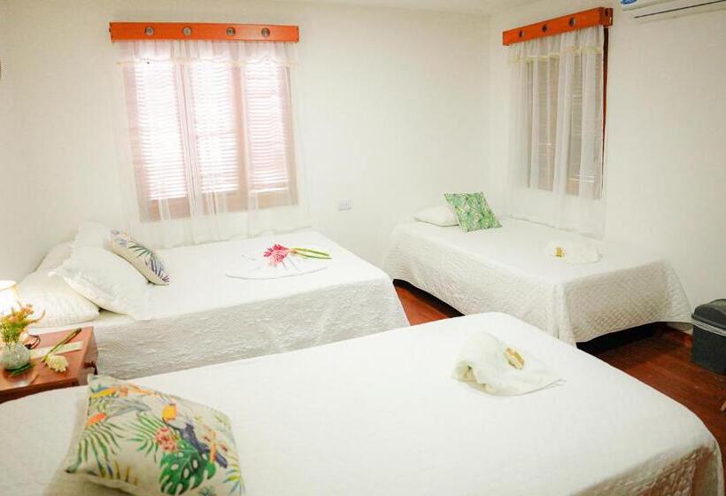 호스텔 Ecohotel Yachay Tayrona Dentro Del Parque Tayrona