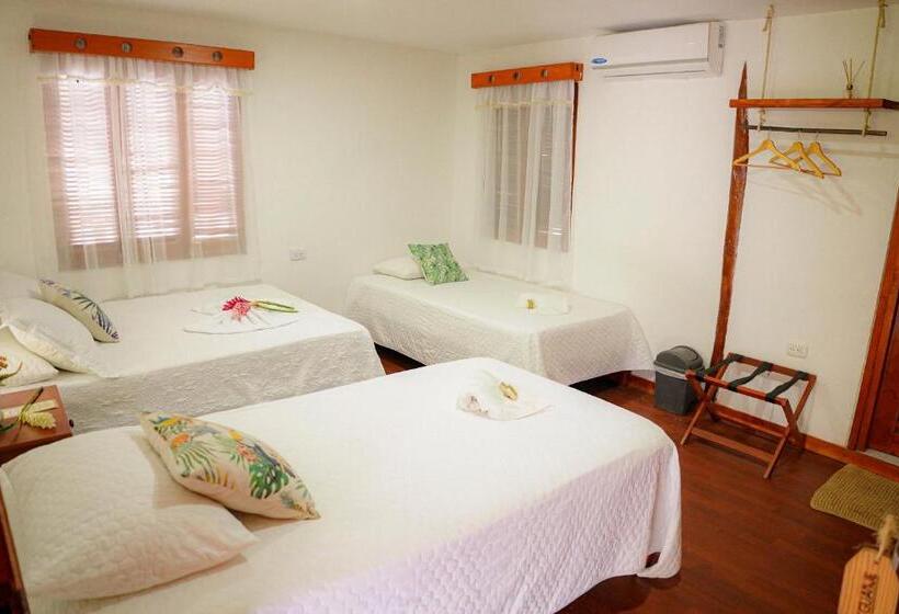 호스텔 Ecohotel Yachay Tayrona Dentro Del Parque Tayrona