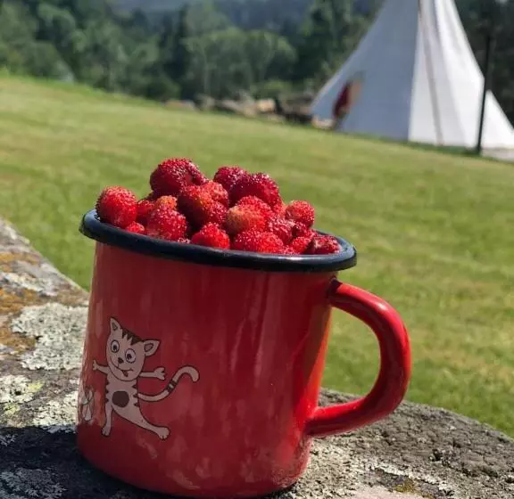 Retkeilymaja Penzion Farma žleby