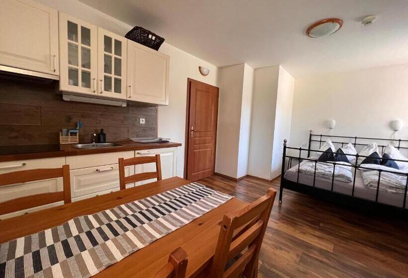 ユースホステル Penzion Farma žleby