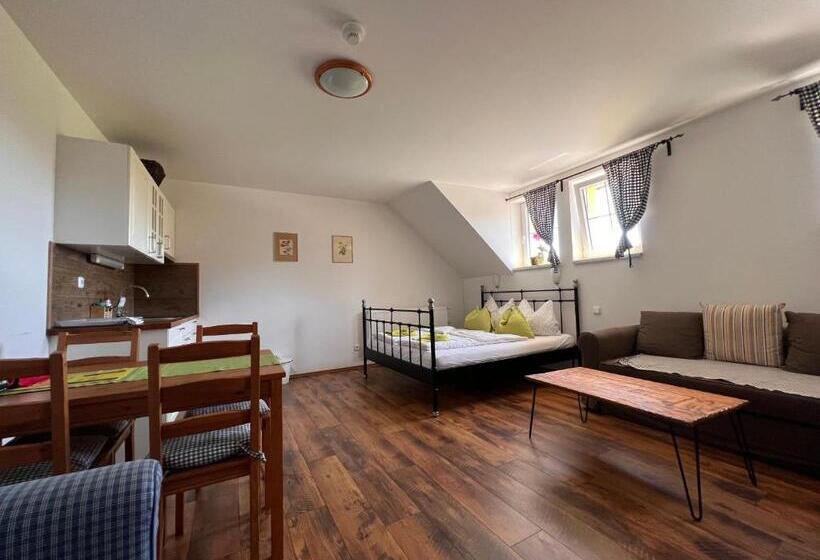 ユースホステル Penzion Farma žleby