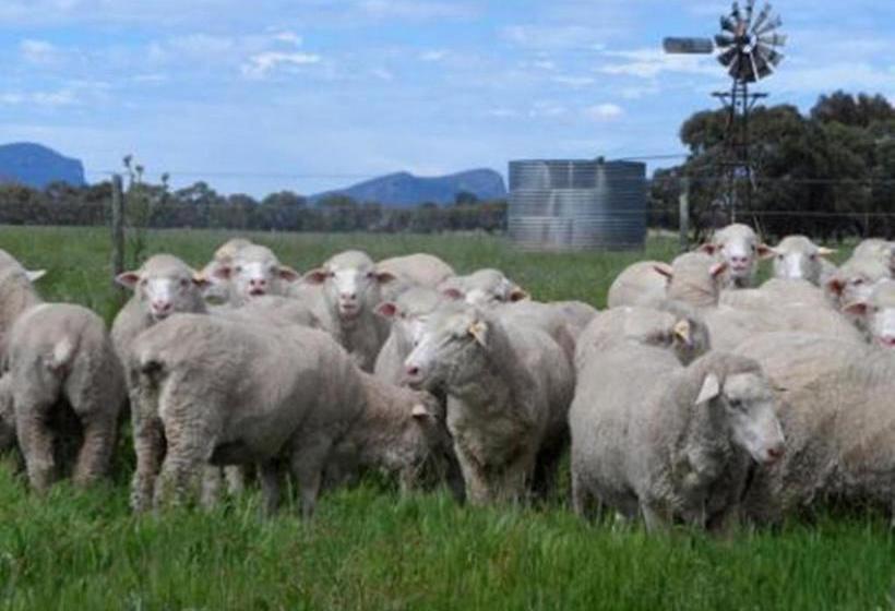 Grampians Historic Homestead B&b