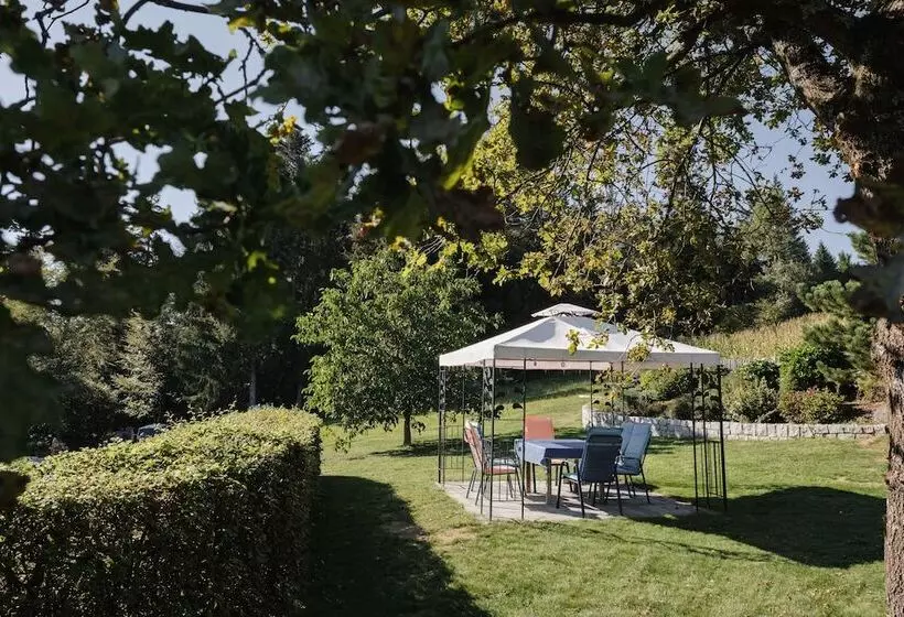 Gästehaus Pension Lang