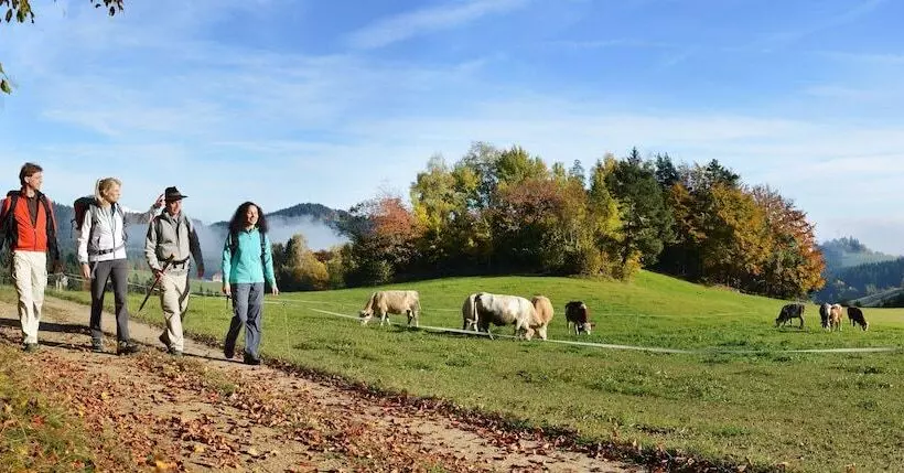 Gästehaus Pension Lang
