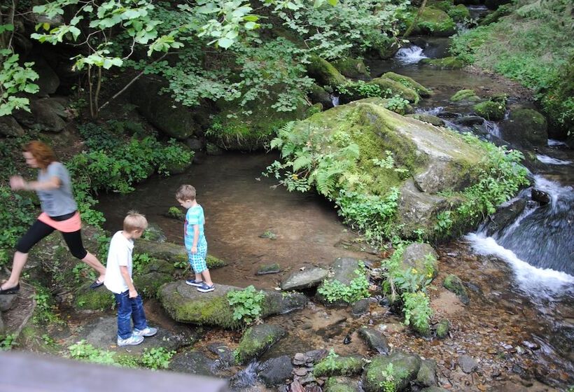 Gästehaus Pension Lang