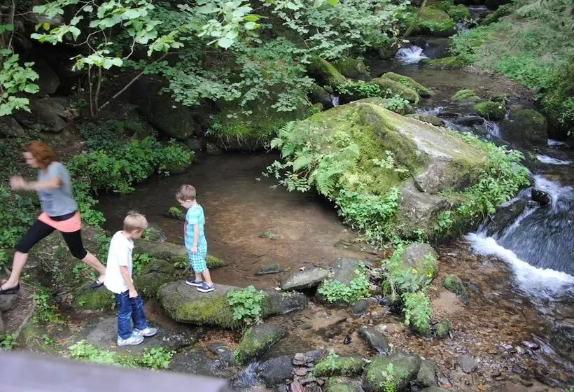 Gästehaus Pension Lang