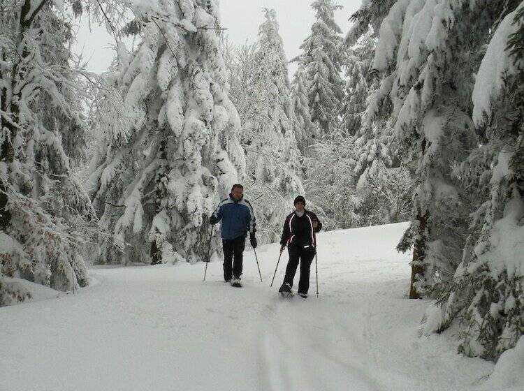Gästehaus Pension Lang