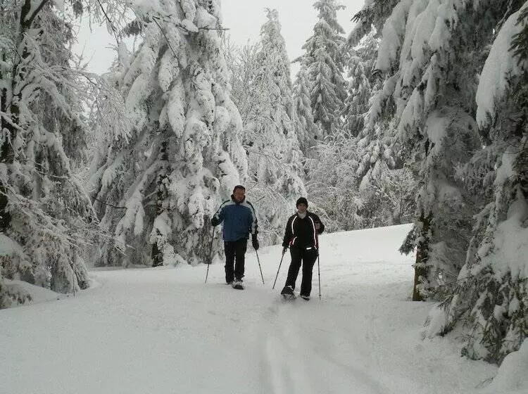 Gästehaus Pension Lang