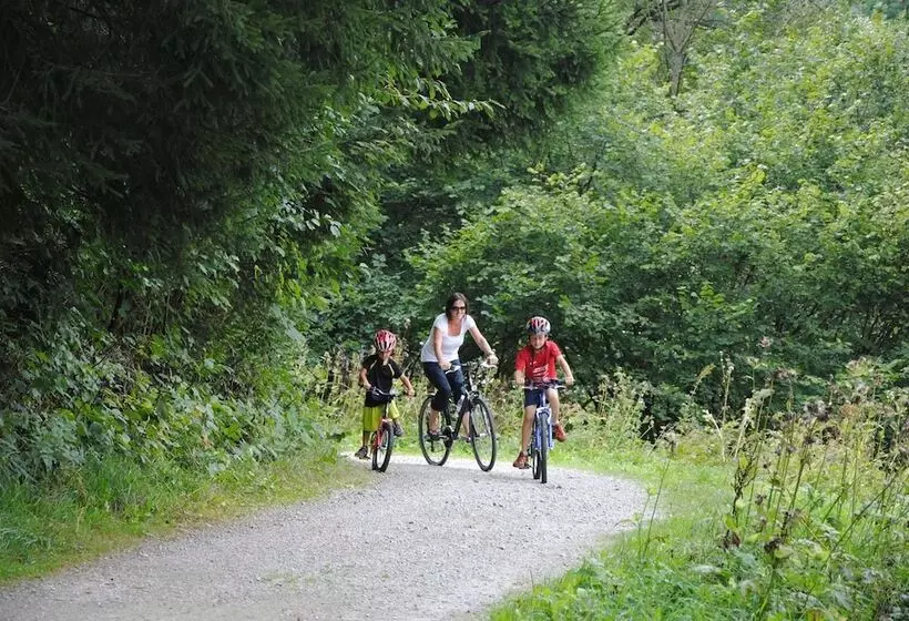 Gästehaus Pension Lang